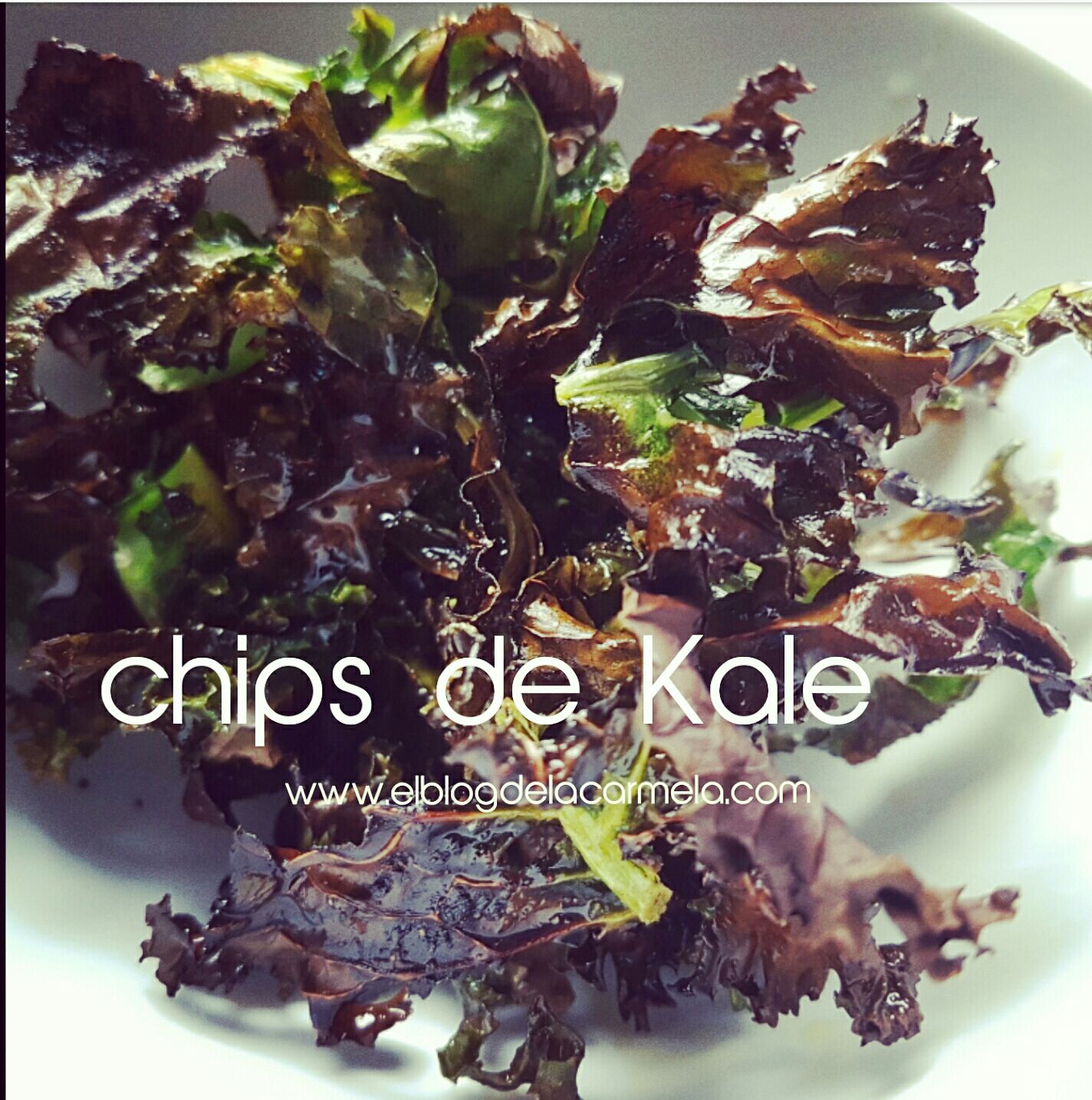 Chips de kale (berza o col rizada)